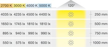 Osvětlovací LED páska, Häfele Loox5 Eco LED 3076, 24 V, 8 mm, 2pólové (jednobarevné), 120 LED/m, 9,6 W/m, IP20