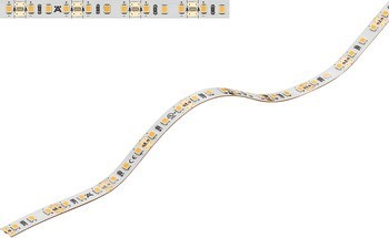 Osvětlovací LED páska, Häfele Loox5 LED 2065, 12 V, 8 mm, 2pólové (jednobarevné), 120 LED/m, 4,8 W/m, IP20