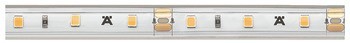 Osvětlovací LED páska v silikonovém pouzdru, Häfele Loox5 LED 2063, 12 V, 8 mm, 2pólové (jednobarevné), do drážky 10 x 4,8 mm, 60 LED/m, 4,8 W/m, IP44