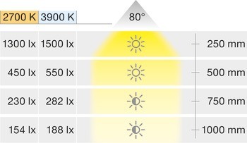 Stropní svítidlo pro povrchovou montáž, LED 1166, 24 V, 3dílná sada s hlavním spínačem
