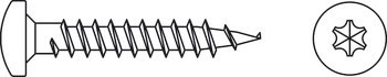 Vrut do dřevotřísky, Hospa, půlkulatá hlava, drážka Torx TS, plný závit, pozink