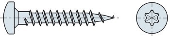 Vrut do dřevotřísky, Hospa, půlkulatá hlava, drážka Torx TS, plný závit, pozink