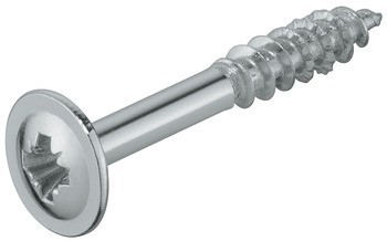 Vrut pro záda, Hospa, plochá hlava, PZ, pozink